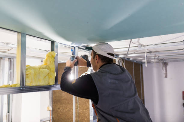 Best Eco-Friendly Insulation in Burbank, IL