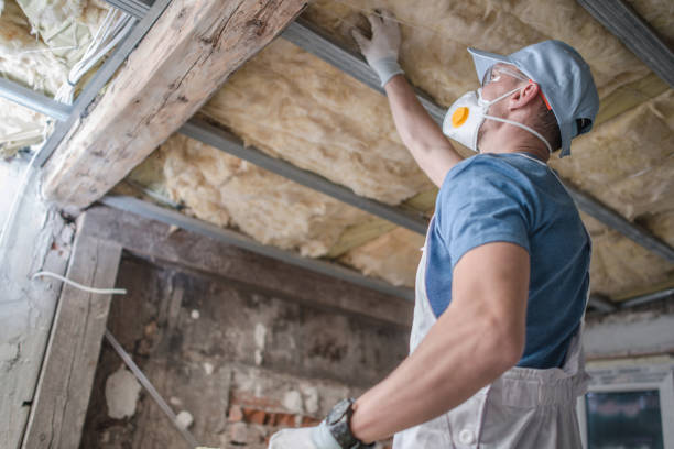 Best Geographic-Specific Insulation Services in Burbank, IL