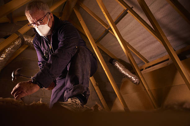 Best Fiberglass Insulation in Burbank, IL